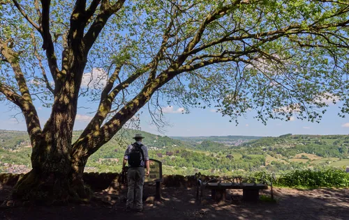 High Peak Trail Spring Matlock This landscape photograph shows a scenic rural section of the High Peak Trail near Matlock in the Peak District, captured on a spring morning. The image features a large tree in the foreground with green foliage, beneath which a person stands, wearing hiking gear and a backpack. Benches and an information display are visible under the shade of the tree, suggesting the location is a lookout or rest point. The photograph, taken by Jamie Weinbren, provides a wide view of the rolling green hills and patchwork fields typical of the rural Peak District area surrounding Matlock, highlighting the tranquility of spring in this region.